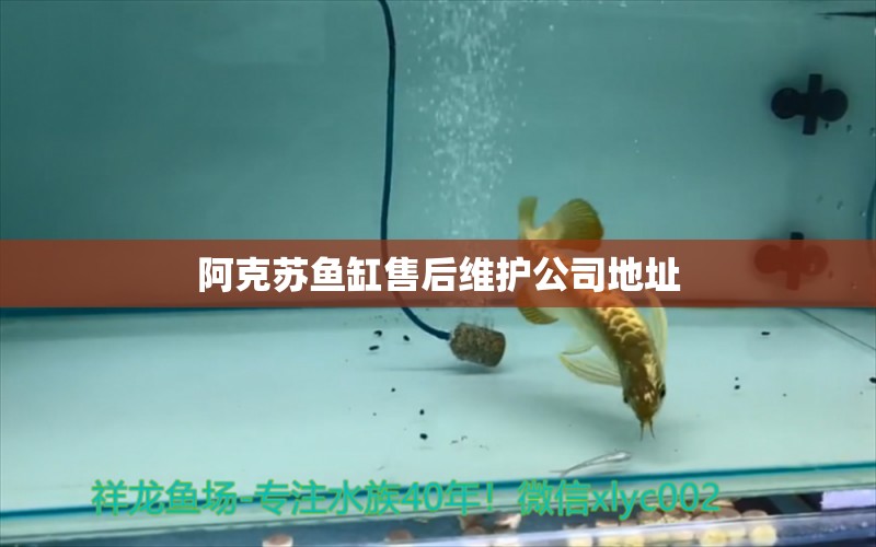 阿克蘇魚缸售后維護公司地址 其他品牌魚缸