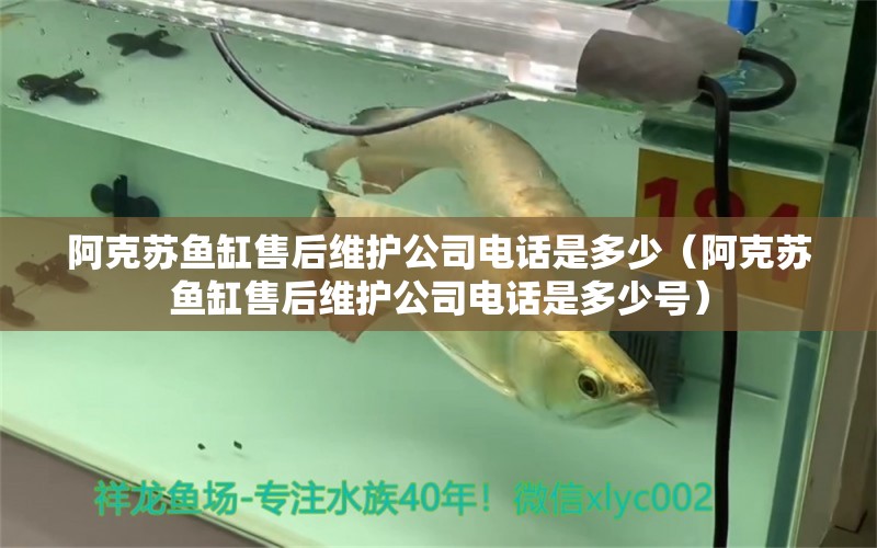 阿克蘇魚缸售后維護公司電話是多少（阿克蘇魚缸售后維護公司電話是多少號）