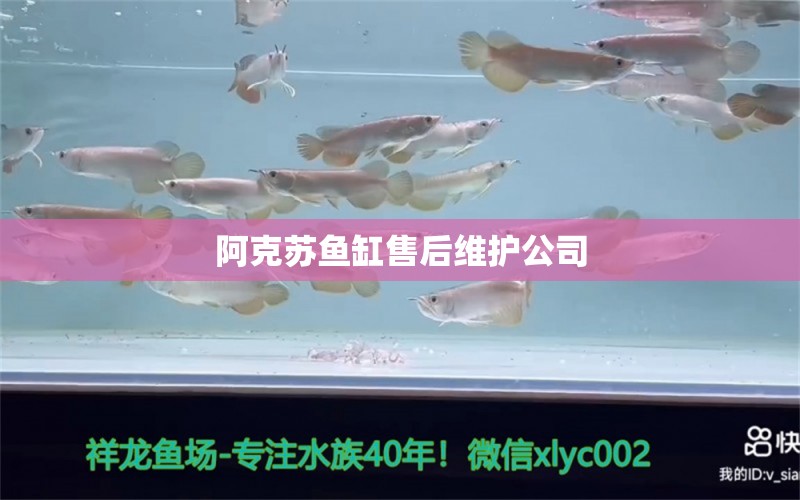 阿克蘇魚缸售后維護(hù)公司