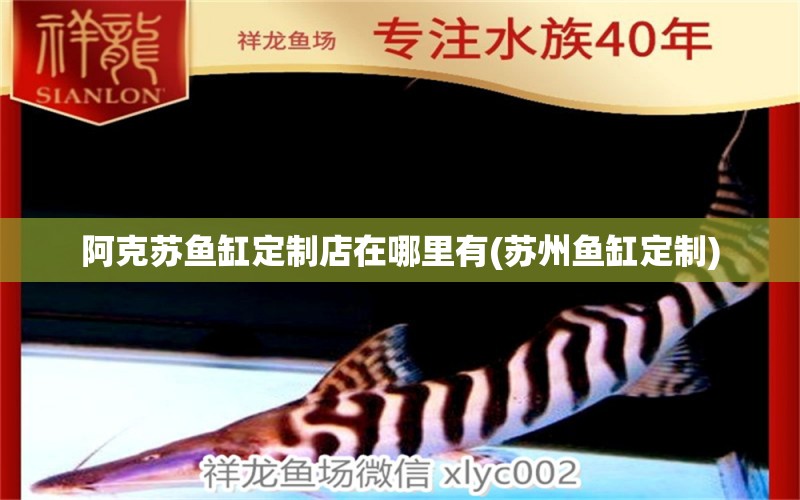 阿克蘇魚(yú)缸定制店在哪里有(蘇州魚(yú)缸定制) 白子紅龍魚(yú)