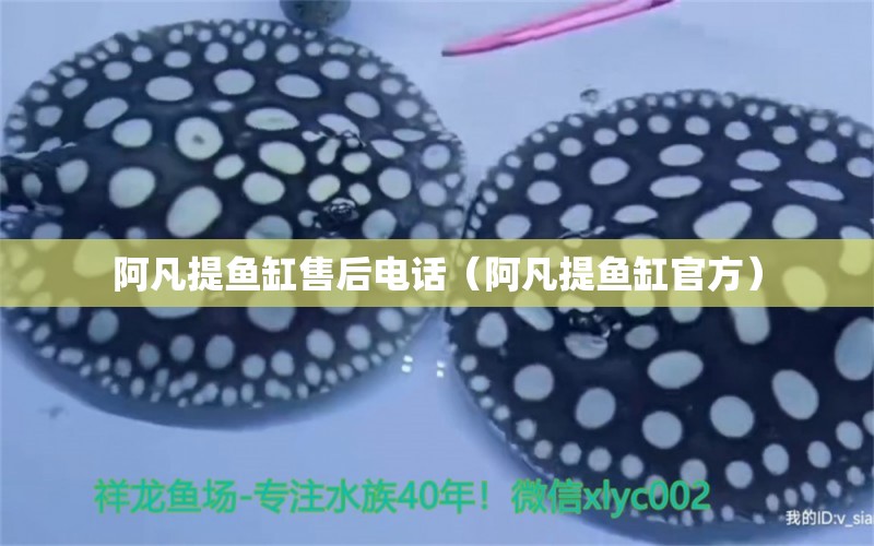 阿凡提魚缸售后電話（阿凡提魚缸官方） 量子養(yǎng)魚技術(shù)