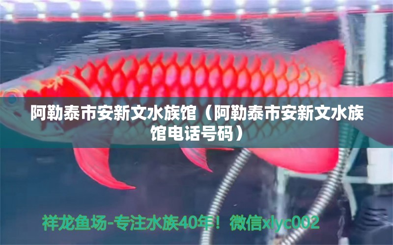 阿勒泰市安新文水族館（阿勒泰市安新文水族館電話號碼） 全國水族館企業(yè)名錄