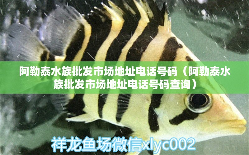 阿勒泰水族批發(fā)市場地址電話號碼（阿勒泰水族批發(fā)市場地址電話號碼查詢） 觀賞魚水族批發(fā)市場