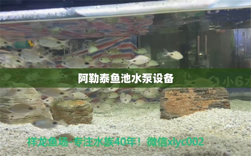 阿勒泰魚池水泵設(shè)備