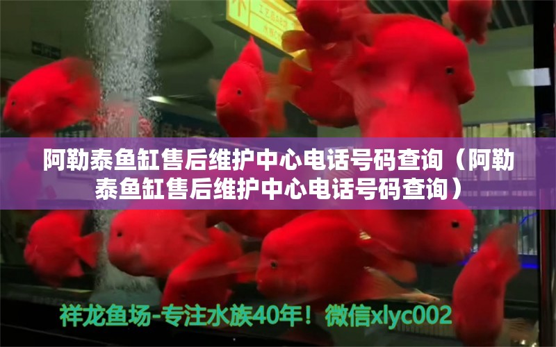 阿勒泰魚缸售后維護中心電話號碼查詢（阿勒泰魚缸售后維護中心電話號碼查詢） 其他品牌魚缸