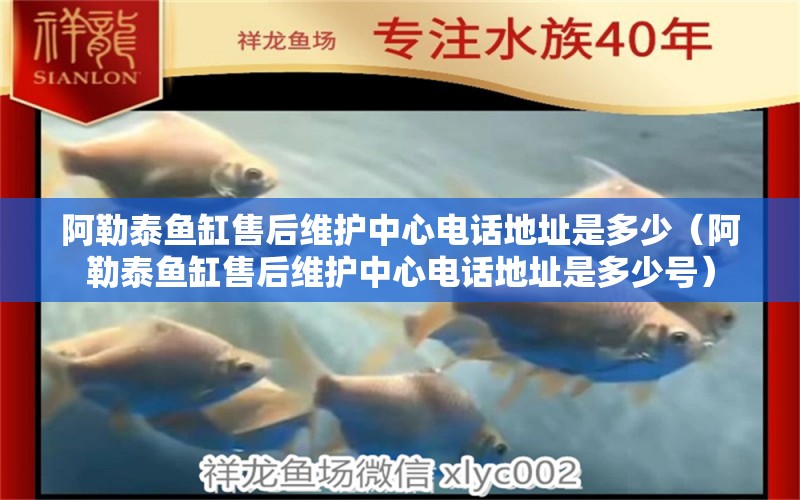 阿勒泰魚缸售后維護(hù)中心電話地址是多少（阿勒泰魚缸售后維護(hù)中心電話地址是多少號）