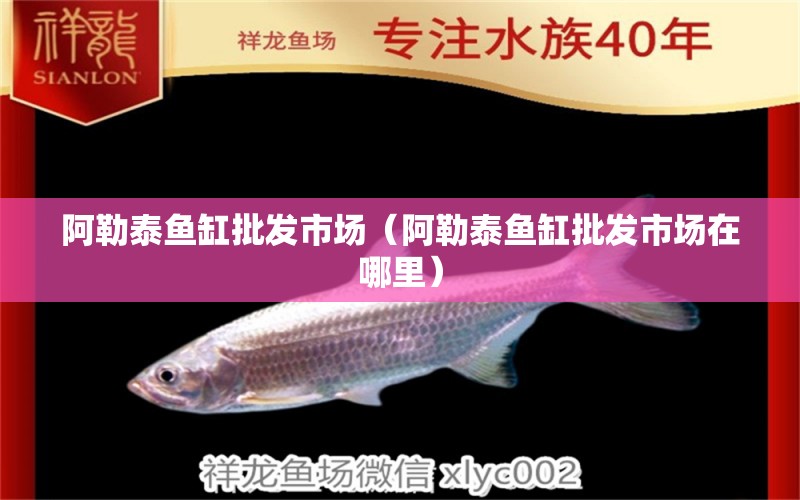 阿勒泰魚(yú)缸批發(fā)市場(chǎng)（阿勒泰魚(yú)缸批發(fā)市場(chǎng)在哪里） 觀賞魚(yú)水族批發(fā)市場(chǎng)