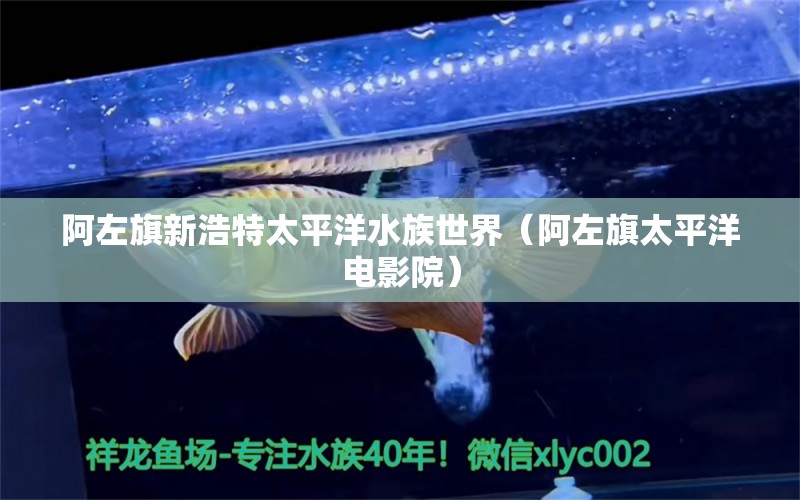 阿左旗新浩特太平洋水族世界（阿左旗太平洋電影院） 全國(guó)水族館企業(yè)名錄