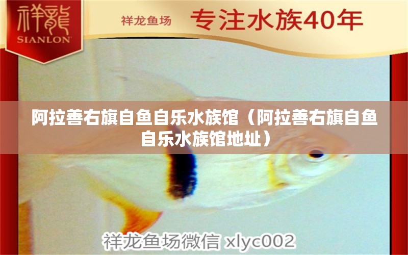 阿拉善右旗自魚(yú)自樂(lè)水族館（阿拉善右旗自魚(yú)自樂(lè)水族館地址）