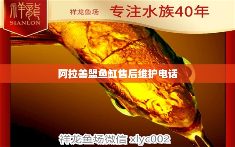 阿拉善盟魚缸售后維護(hù)電話 其他品牌魚缸