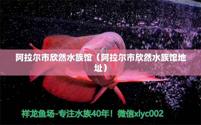 阿拉爾市欣然水族館（阿拉爾市欣然水族館地址）