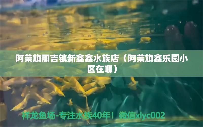 阿榮旗那吉鎮(zhèn)新鑫鑫水族店（阿榮旗鑫樂園小區(qū)在哪）