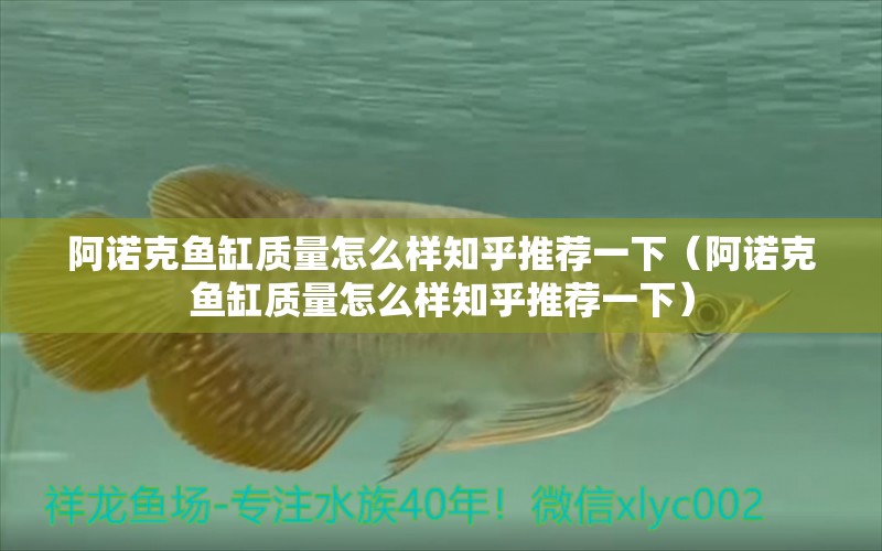 阿諾克魚缸質(zhì)量怎么樣知乎推薦一下（阿諾克魚缸質(zhì)量怎么樣知乎推薦一下）