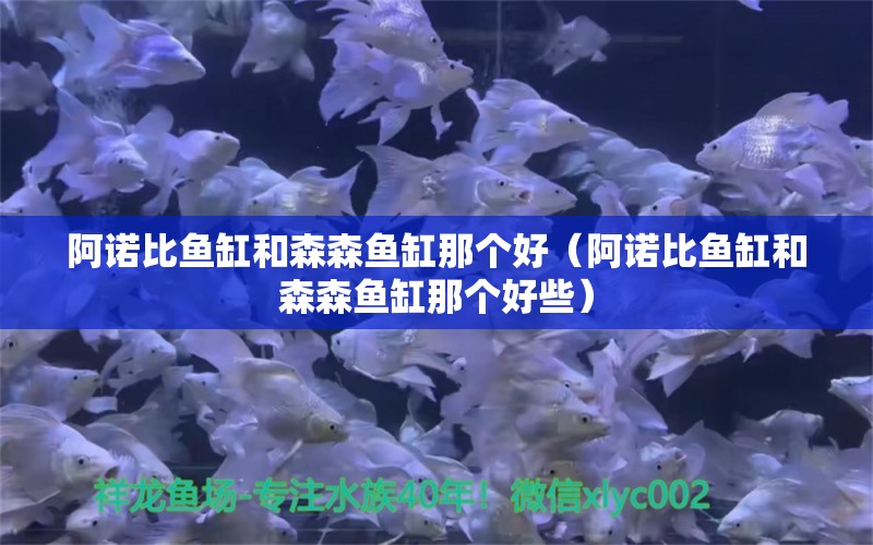 阿諾比魚缸和森森魚缸那個(gè)好（阿諾比魚缸和森森魚缸那個(gè)好些）