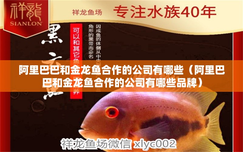 阿里巴巴和金龍魚合作的公司有哪些（阿里巴巴和金龍魚合作的公司有哪些品牌）