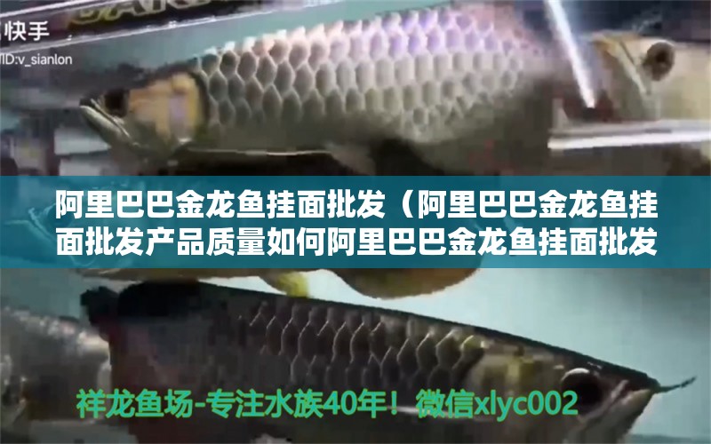 阿里巴巴金龍魚掛面批發(fā)（阿里巴巴金龍魚掛面批發(fā)產(chǎn)品質(zhì)量如何阿里巴巴金龍魚掛面批發(fā)） 水族問答 第2張