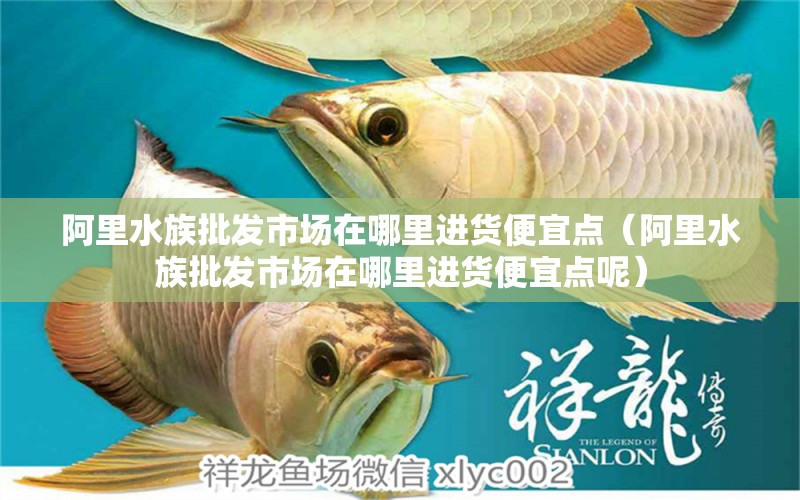 阿里水族批發(fā)市場在哪里進貨便宜點（阿里水族批發(fā)市場在哪里進貨便宜點呢）