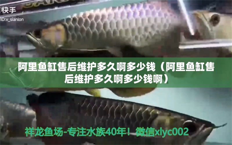 阿里魚缸售后維護(hù)多久啊多少錢（阿里魚缸售后維護(hù)多久啊多少錢?。?其他品牌魚缸