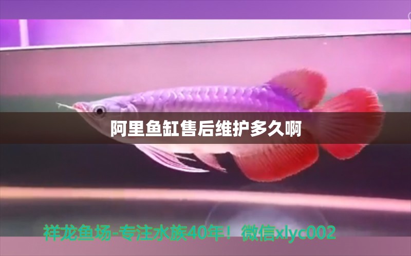 阿里魚(yú)缸售后維護(hù)多久啊