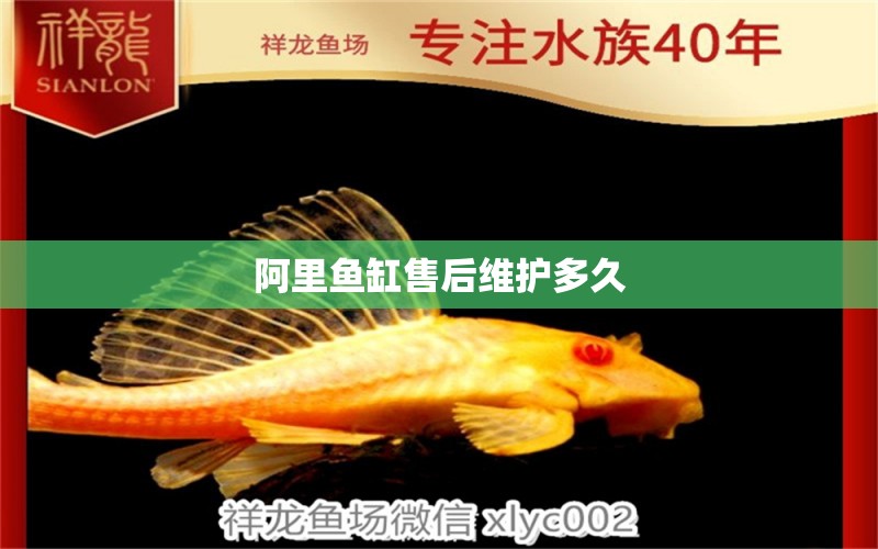 阿里魚(yú)缸售后維護(hù)多久