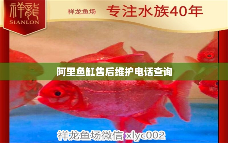 阿里魚(yú)缸售后維護(hù)電話查詢