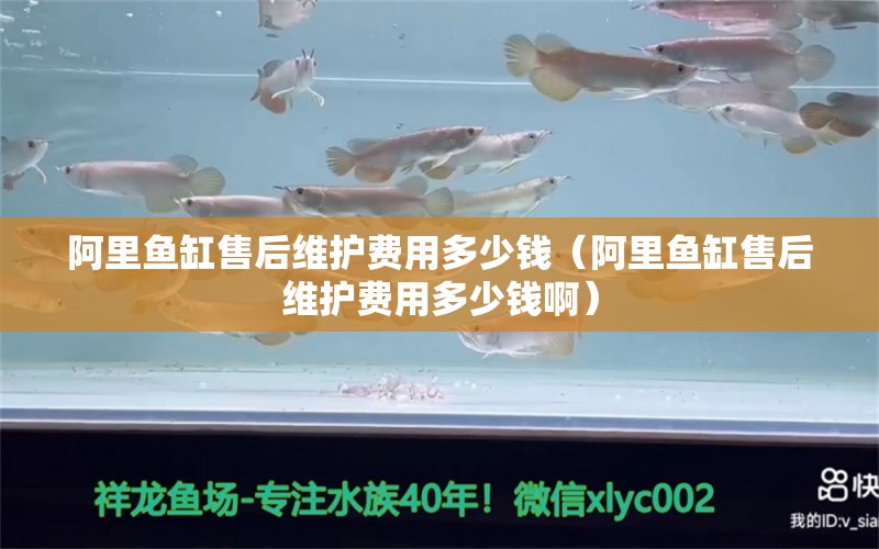 阿里魚(yú)缸售后維護(hù)費(fèi)用多少錢（阿里魚(yú)缸售后維護(hù)費(fèi)用多少錢?。? title=