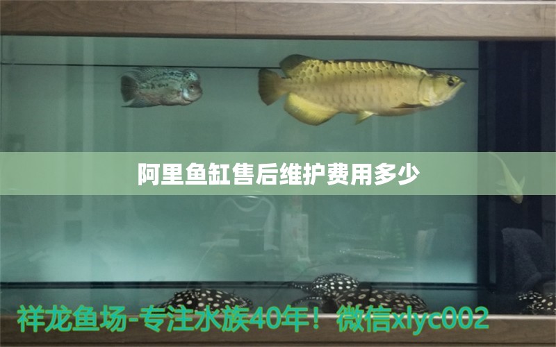 阿里魚缸售后維護(hù)費(fèi)用多少