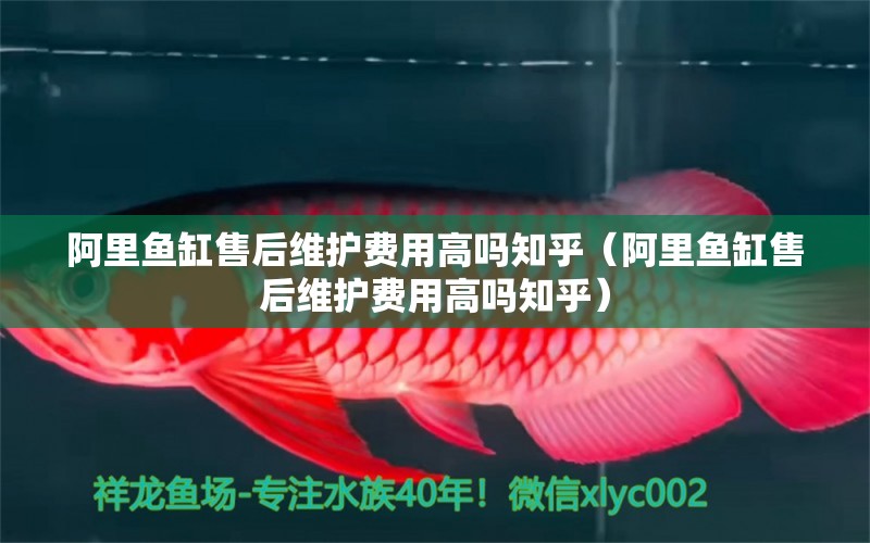 阿里魚(yú)缸售后維護(hù)費(fèi)用高嗎知乎（阿里魚(yú)缸售后維護(hù)費(fèi)用高嗎知乎）