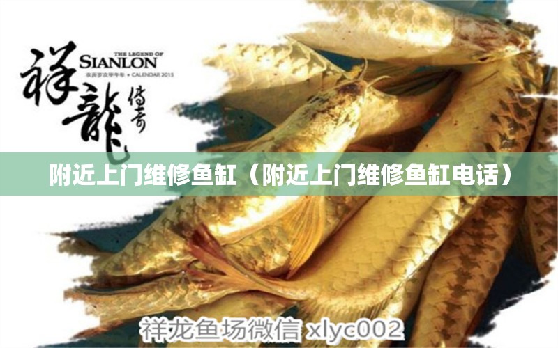 附近上門維修魚缸（附近上門維修魚缸電話）