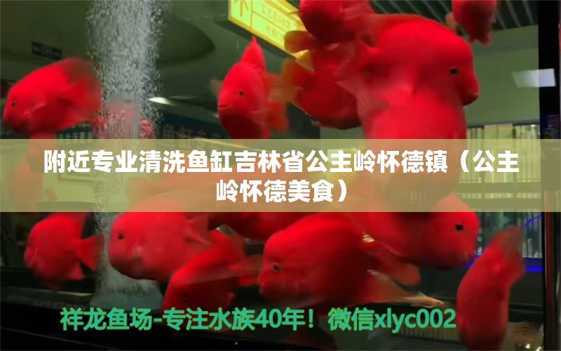 附近專業(yè)清洗魚缸吉林省公主嶺懷德鎮(zhèn)（公主嶺懷德美食） 青龍魚