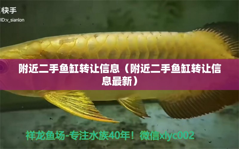 附近二手魚缸轉(zhuǎn)讓信息（附近二手魚缸轉(zhuǎn)讓信息最新） 其他品牌魚缸