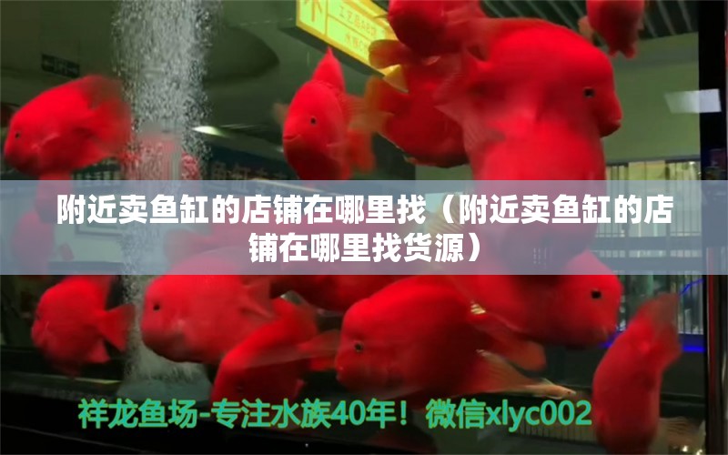 附近賣魚缸的店鋪在哪里找（附近賣魚缸的店鋪在哪里找貨源）