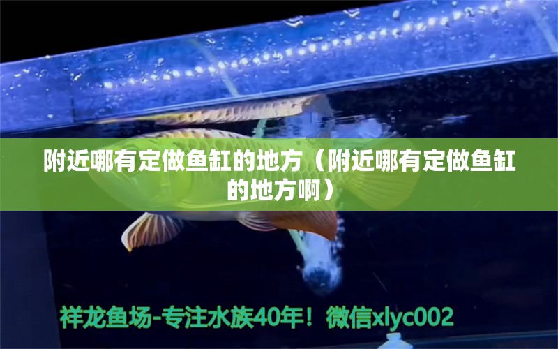 附近哪有定做魚缸的地方（附近哪有定做魚缸的地方?。? title=