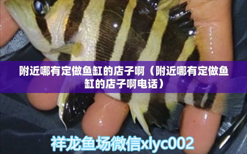 附近哪有定做魚缸的店子?。ǜ浇挠卸ㄗ鲷~缸的店子啊電話）