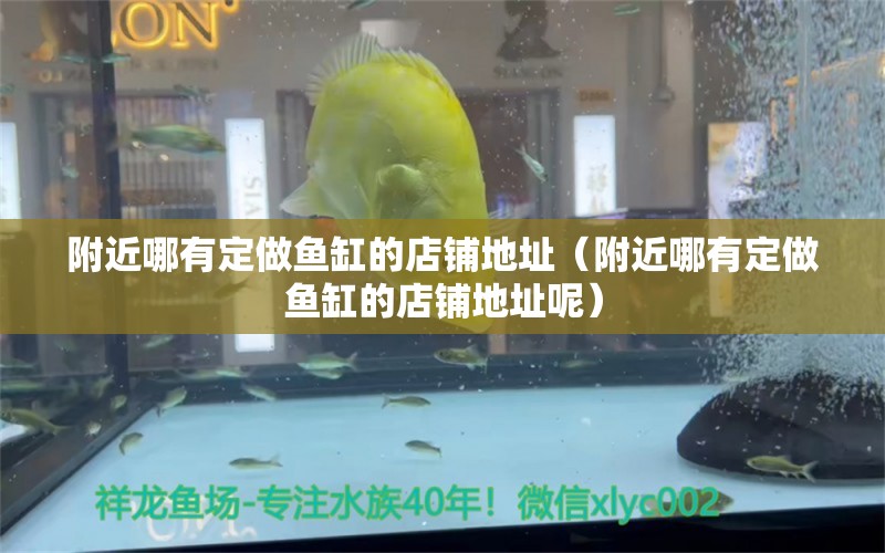 附近哪有定做魚缸的店鋪地址（附近哪有定做魚缸的店鋪地址呢） 量子養(yǎng)魚技術(shù)