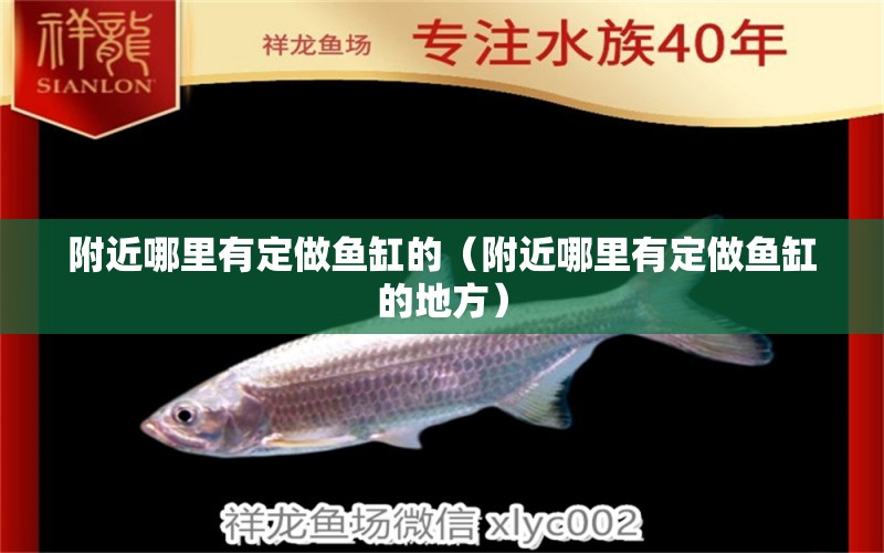 附近哪里有定做魚(yú)缸的（附近哪里有定做魚(yú)缸的地方）