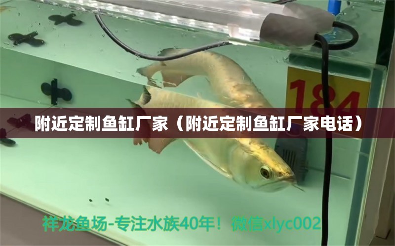 附近定制魚缸廠家（附近定制魚缸廠家電話）