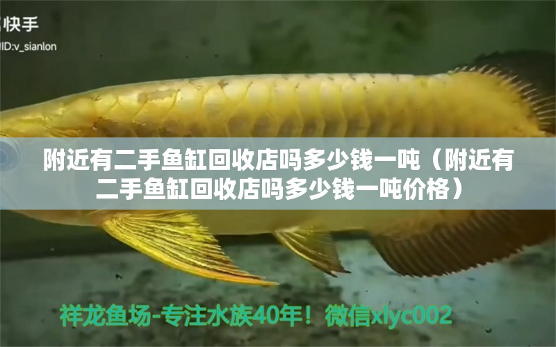 附近有二手魚缸回收店嗎多少錢一噸（附近有二手魚缸回收店嗎多少錢一噸價格）