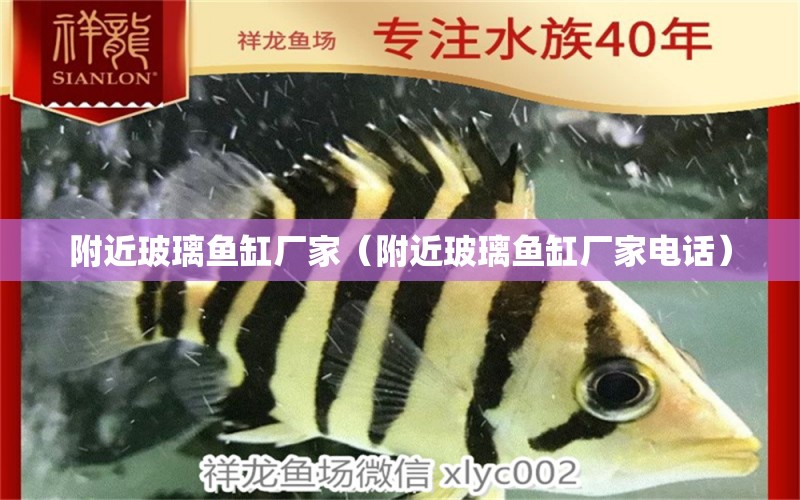 附近玻璃魚缸廠家（附近玻璃魚缸廠家電話）