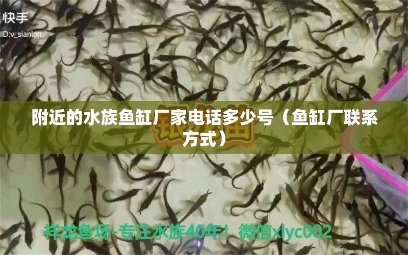 附近的水族魚缸廠家電話多少號(hào)（魚缸廠聯(lián)系方式）