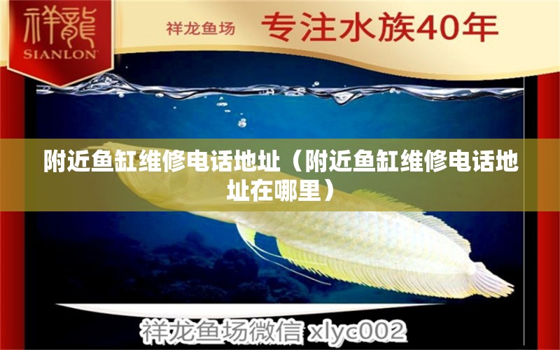 附近魚缸維修電話地址（附近魚缸維修電話地址在哪里） 其他品牌魚缸