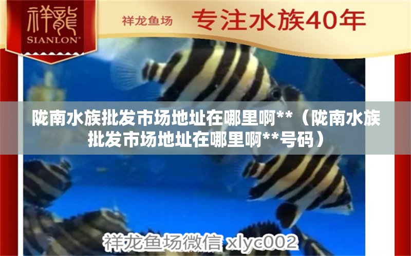 隴南水族批發(fā)市場地址在哪里啊**（隴南水族批發(fā)市場地址在哪里啊**號碼）