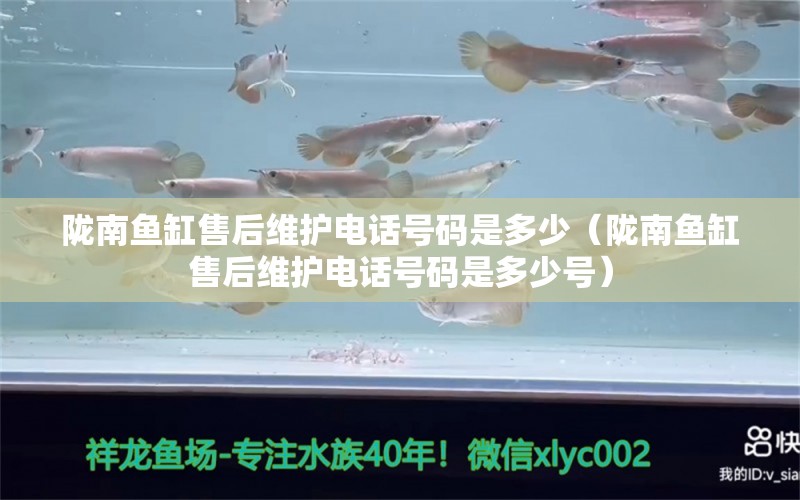 隴南魚(yú)缸售后維護(hù)電話號(hào)碼是多少（隴南魚(yú)缸售后維護(hù)電話號(hào)碼是多少號(hào)）