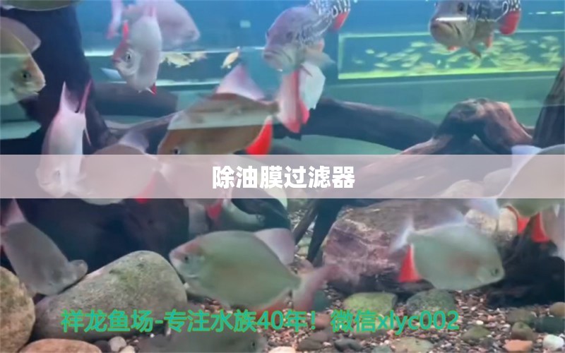 除油膜過濾器 廣州水族器材濾材批發(fā)市場