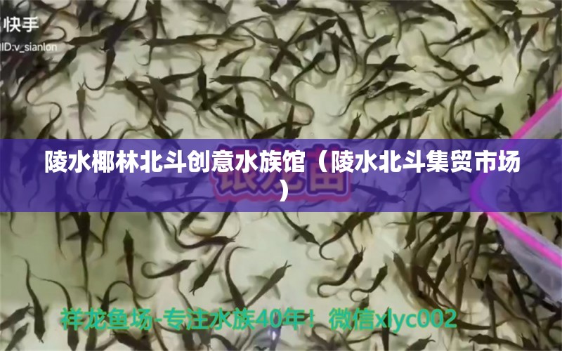 陵水椰林北斗創(chuàng)意水族館（陵水北斗集貿(mào)市場(chǎng)）