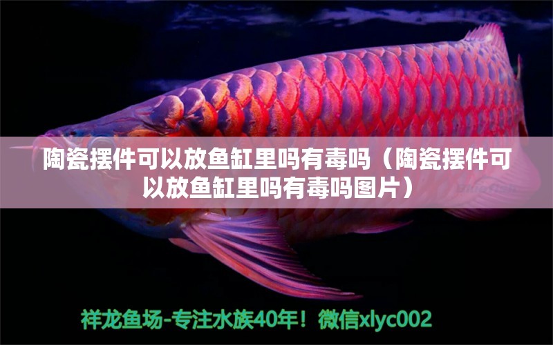 陶瓷擺件可以放魚(yú)缸里嗎有毒嗎（陶瓷擺件可以放魚(yú)缸里嗎有毒嗎圖片） 祥龍水族醫(yī)院