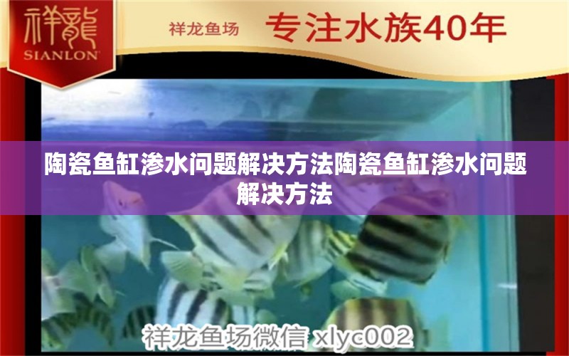 陶瓷魚缸滲水問題解決方法陶瓷魚缸滲水問題解決方法