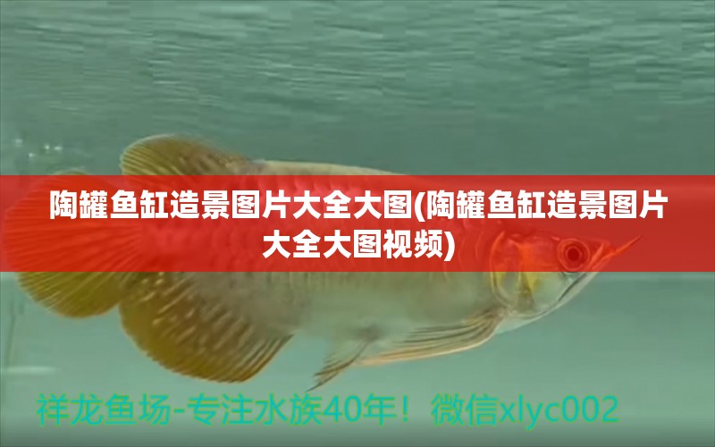 陶罐魚缸造景圖片大全大圖(陶罐魚缸造景圖片大全大圖視頻)