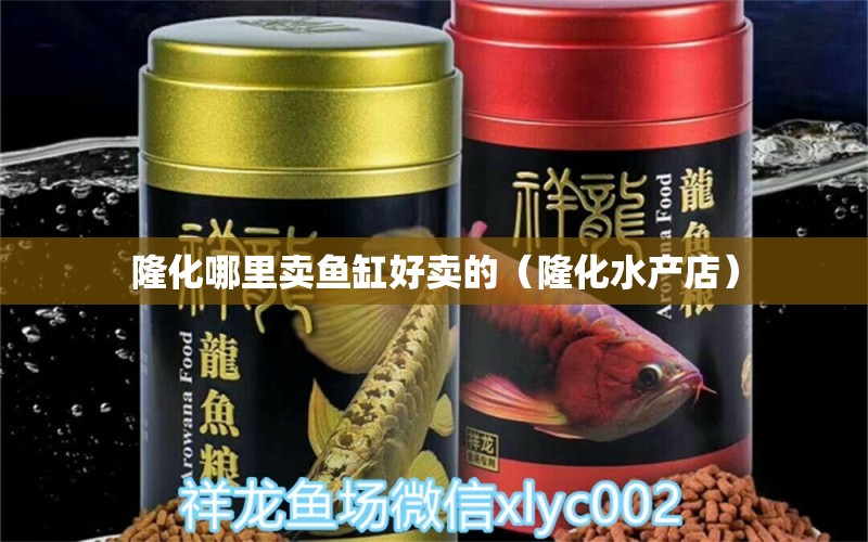 隆化哪里賣魚缸好賣的（隆化水產(chǎn)店） 賽級紅龍魚