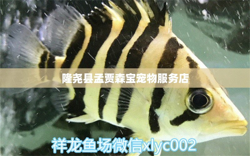 隆堯縣孟賈森寶寵物服務店 全國水族館企業(yè)名錄